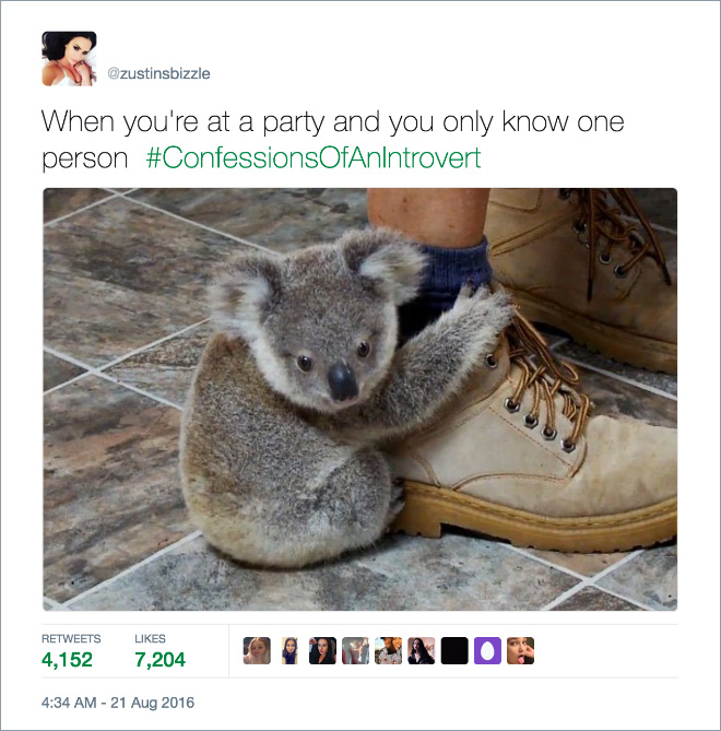 hilarious tweets by introverts