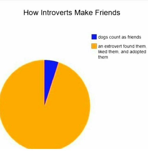 how introverts make friends