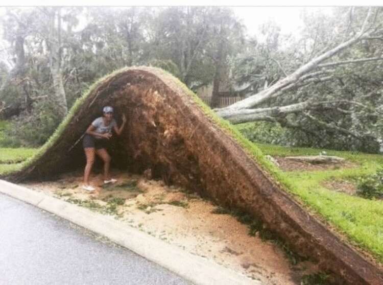 Hurricane Matthew aftermath