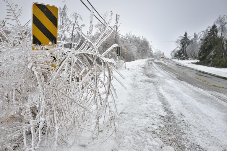 Ice Storm of 1998 in Ontario
