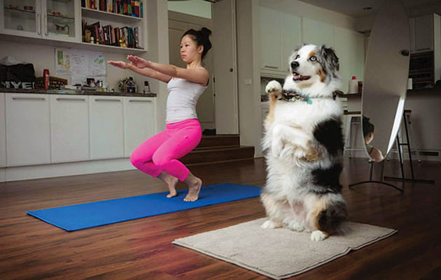 dog and girl doing yoga