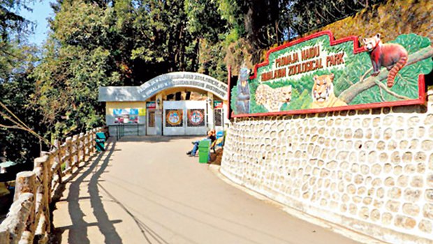 largest zoo in india darjeeling zoo