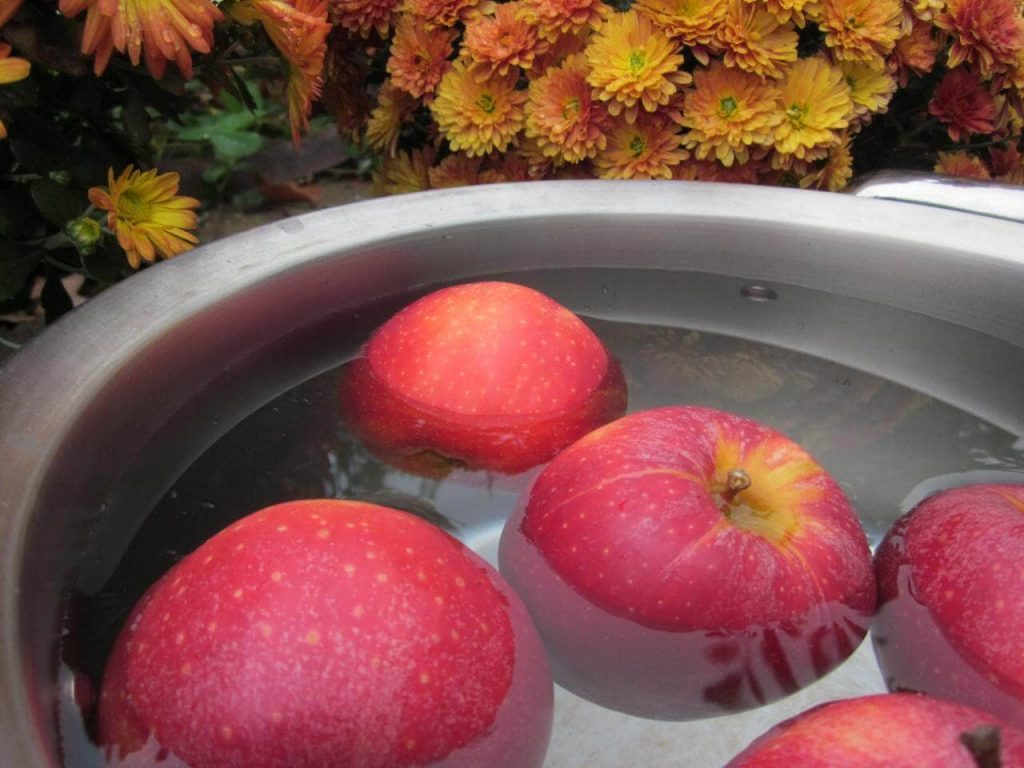 apples float on water