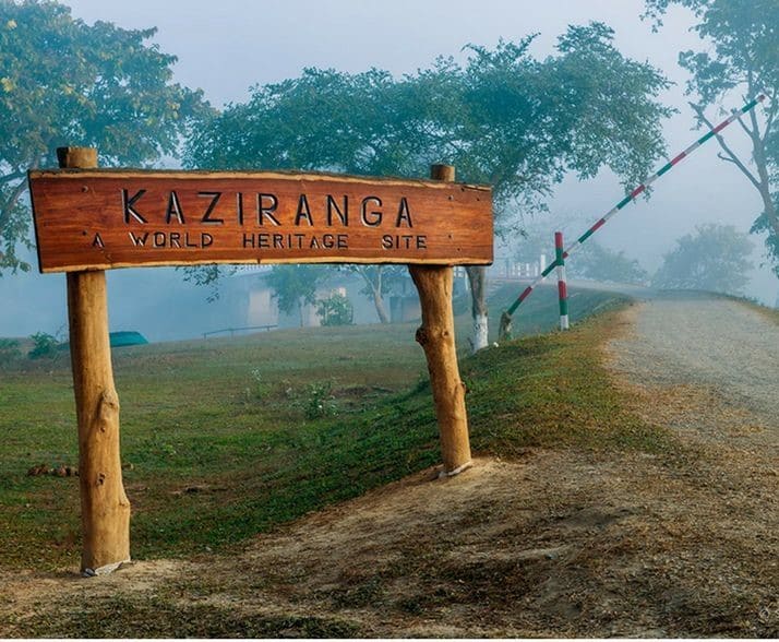 kaziranga nation park world famous heritage site