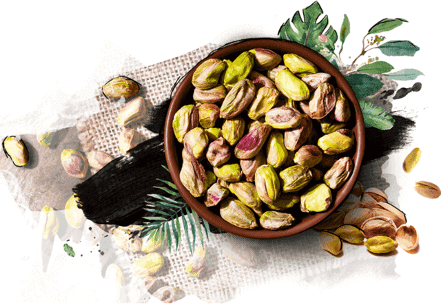 types of dried fruits Pistachios