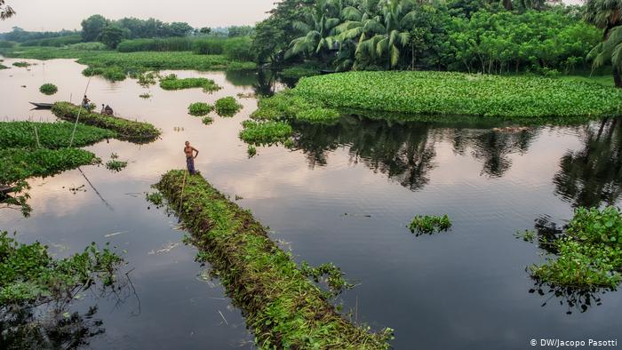 floating-garden bangladesh