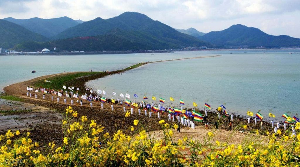 Jindo Miracle Sea Road Festival