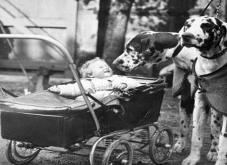 history of baby strollers