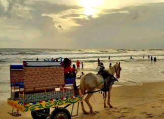 things to do in mangalore
