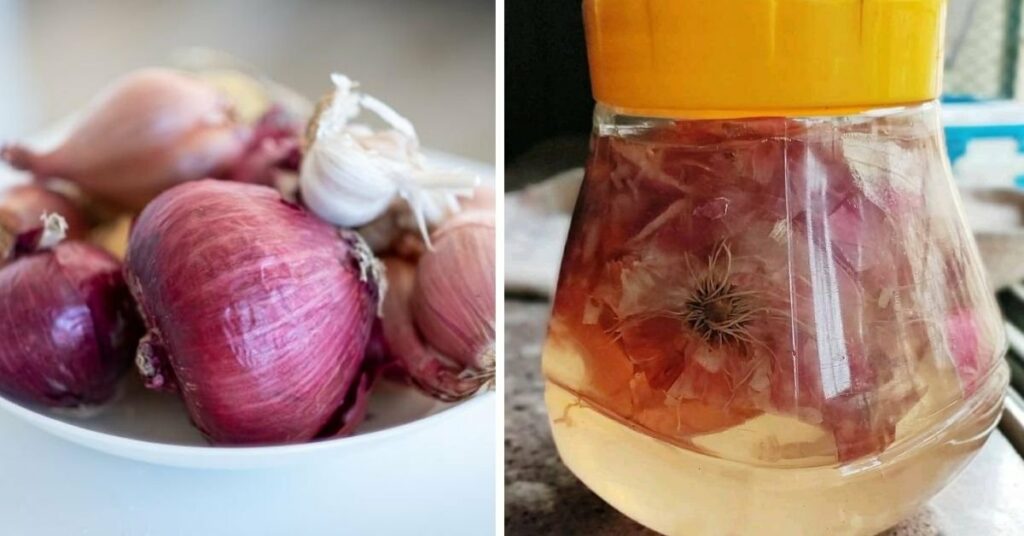 onion peels uses in gardening